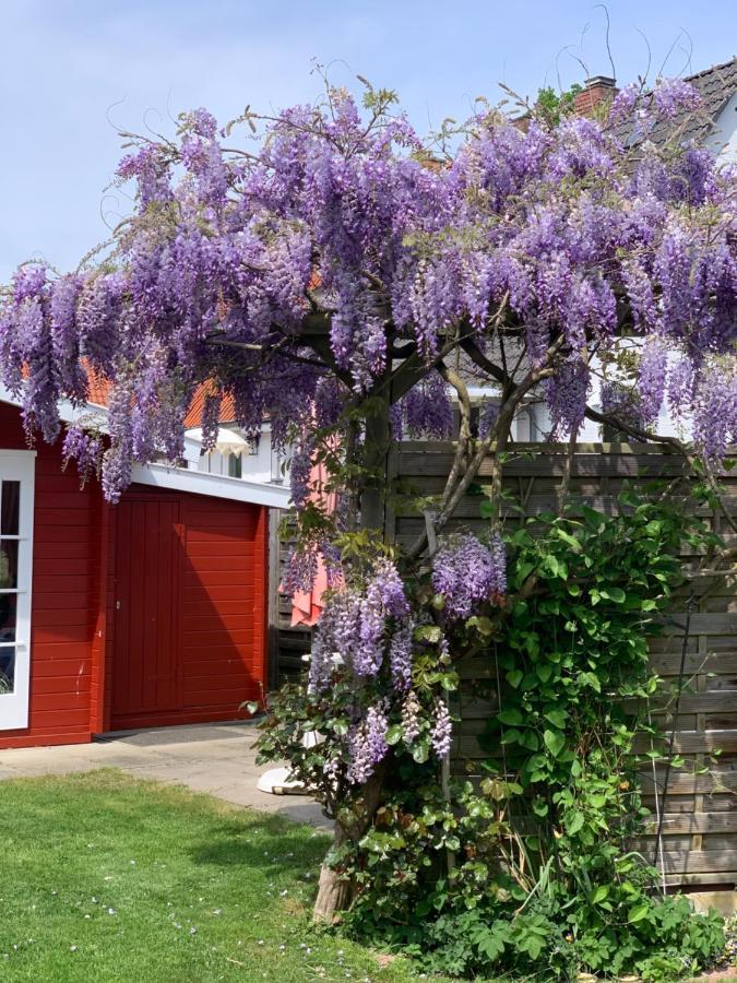 Komfort Ferienwohnung Kroemer ทิมเมนดอร์เฟอร์ ชตรันด์ ภายนอก รูปภาพ
